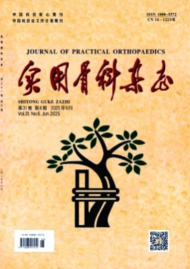 实用骨科杂志杂志